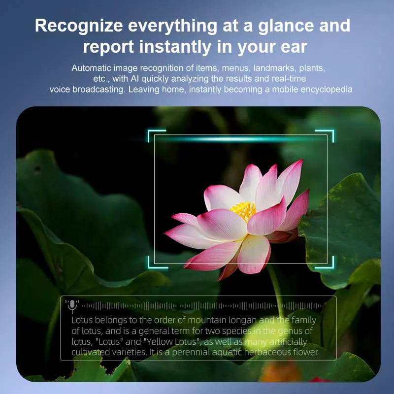 https://cdn.shopify.com/s/files/1/0634/5916/4219/files/3_1060x_bffb4916-7d38-4666-840f-791ddfb277a6.png?v=1767336766